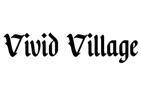 Vivid Village LLC